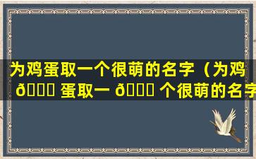 为鸡蛋取一个很萌的名字（为鸡 🍁 蛋取一 🕊 个很萌的名字叫什么）